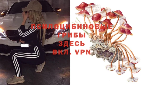 таблы Аркадак